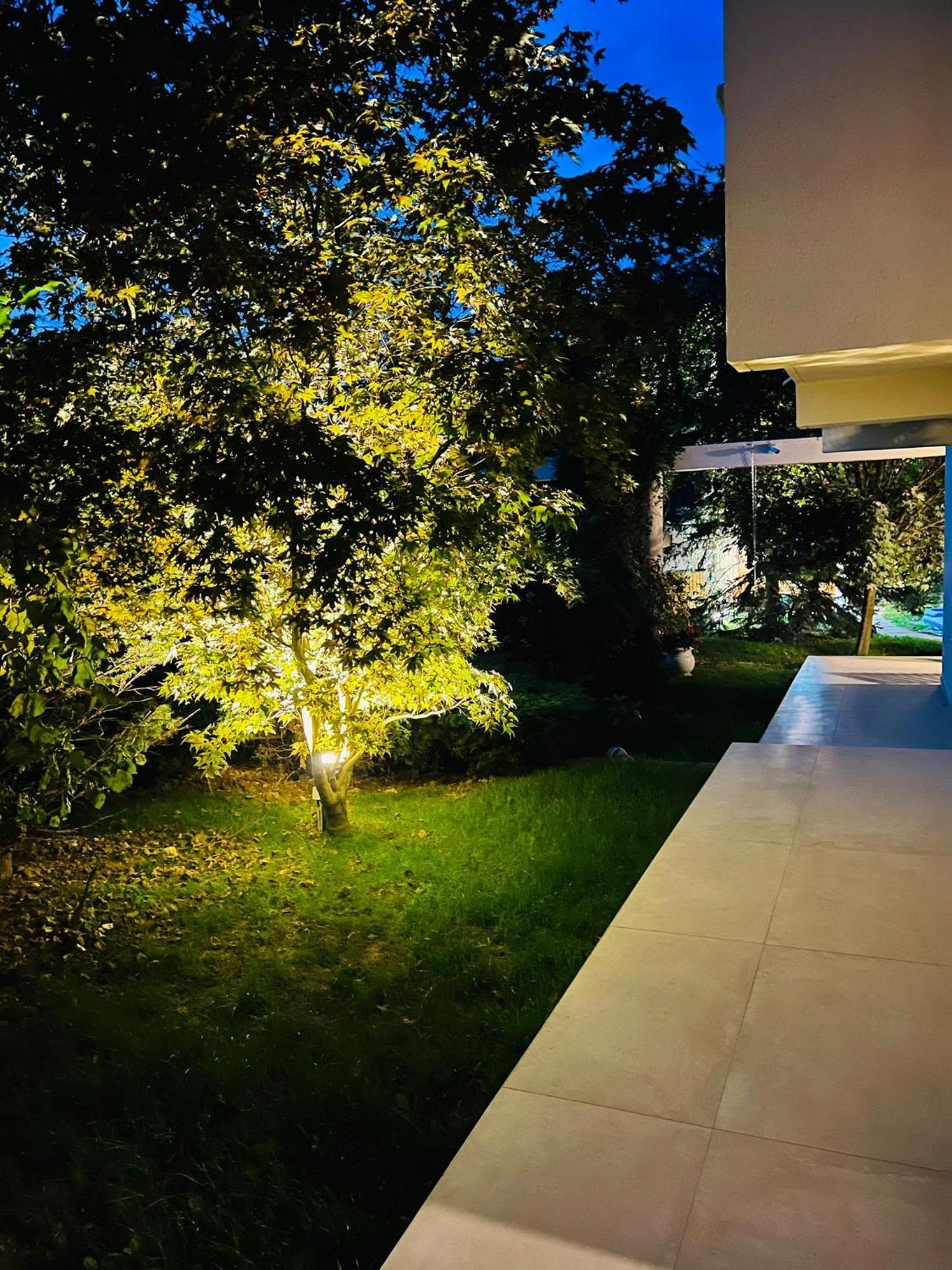 Evie'S Tree House Villa Dragomirna Buitenkant foto